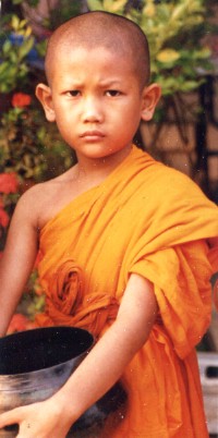 Young Monk